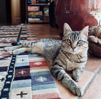 TAIKI