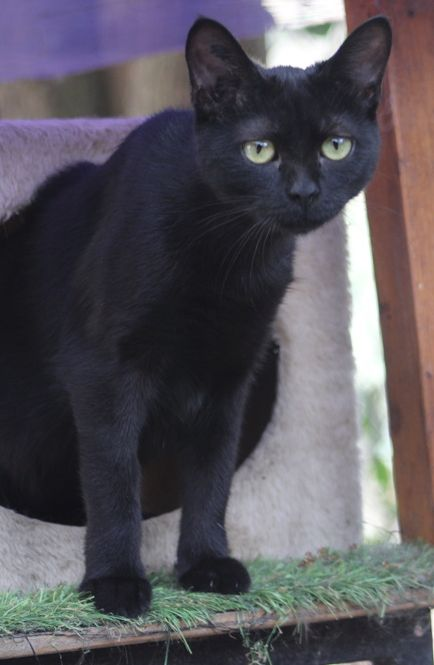 BUFFY